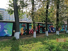 Фото дня: Уличная художница украсила испорченную вандалами стену в детском саду Нижнего Новгорода