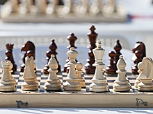 Шахматы возьмут на себя роль дипломатов