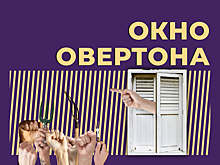 Что такое окно Овертона и почему этот термин используют неправильно. Простыми словами