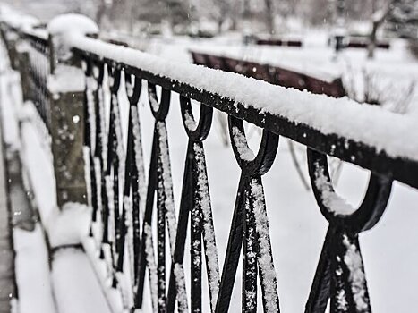 Четверг в Москве может стать самым дождливым днем ноября – синоптик Позднякова