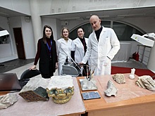 «Производственные секреты» узнали гости «Коломенского»