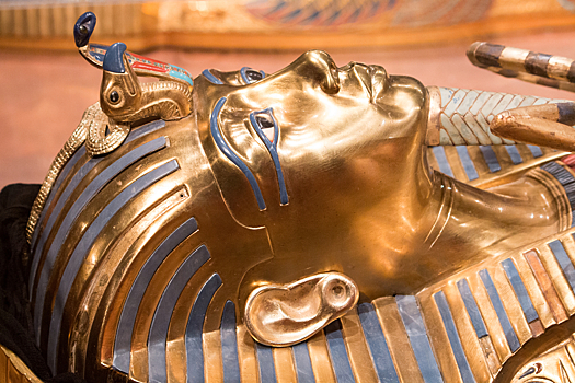 Почему в Сети испугались проклятия фараона