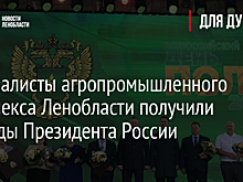 Специалисты агропромышленного комплекса Ленобласти получили награды Президента России