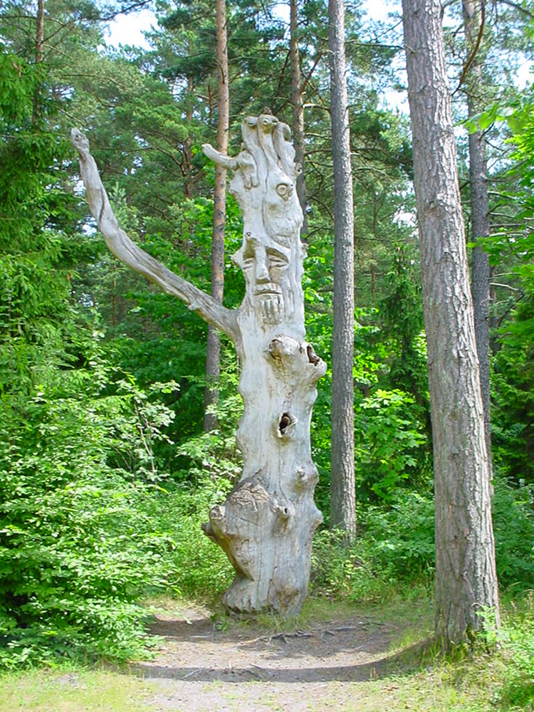 Паланга, Литва, Европа