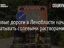 Грунтовые дороги в Ленобласти начали обрабатывать солевыми растворами от пыли