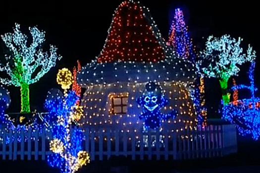 Хорват украсил свое жилище двумя миллионами лампочек к Рождеству