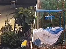 Женщина поймала серийного вора белья с помощью трусов своей матери