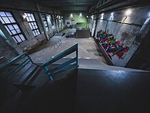 В Карелии будут развивать скейтбординг. Бизнес-проект "Скейт-парк в Петрозаводске" получит господдержку