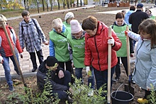 В Кирово-Чепецке общими усилиями создали новый парк