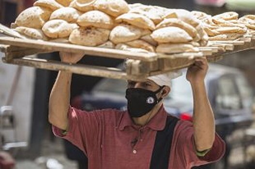 Для зерна появятся особые правила экспорта