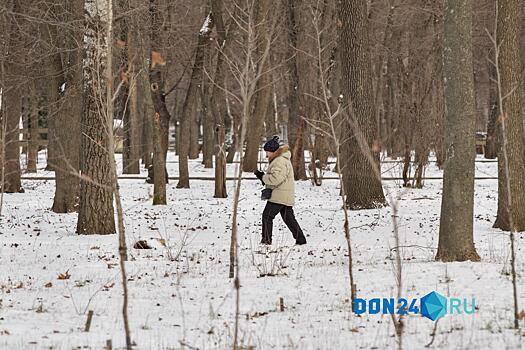 ИИ-синоптик: В понедельник из-за ветра мороз в Ростове будет ощущаться как &minus;22 &deg;C