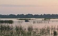 Касимовца поймали на браконьерстве на озере Широкое