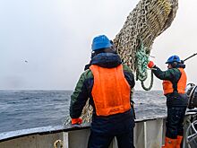 В Росрыболовстве заявили о подготовке ответных мер против Норвегии
