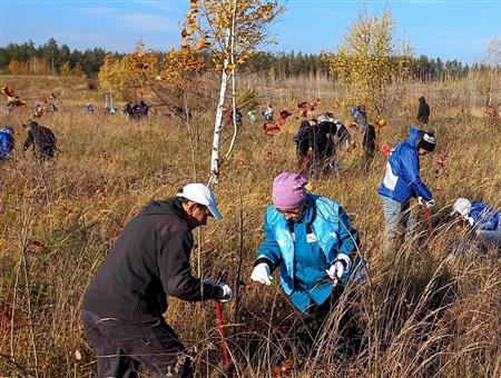 «КуйбышевАзот» ведет активную работу по восстановлению тольяттинского леса