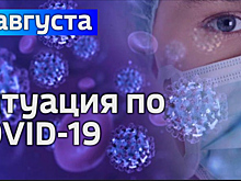 За сутки в Калининградской области подтвердили 19 случаев коронавируса