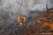 Прокуратура бьет в набат: готова ли Свердловская область к лесным пожарам?
