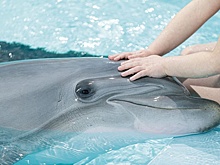 Шестеро маленьких уральцев вернулись из особенной поездки в Сочи