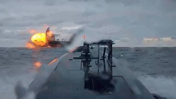 В Турции поставили под вопрос здравомыслие Зеленского после атак в Черном море