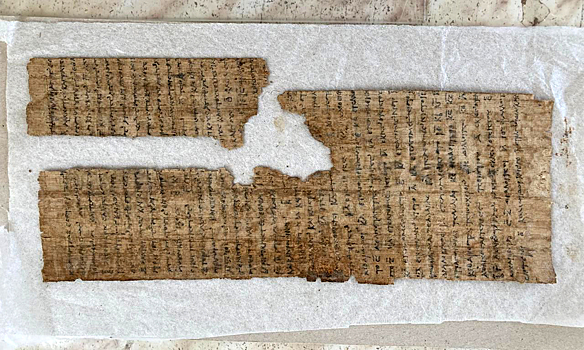 Воскрешение папирусов иногда сродни сборке пазлов