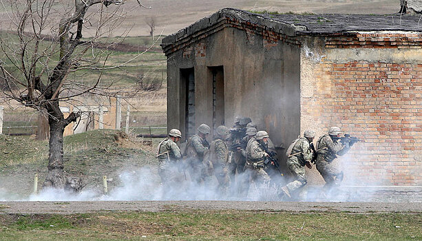 Военные учения НАТО Agile Spirit стартовали в Грузии