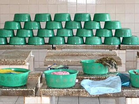 Банный фестиваль пройдет в Уфе