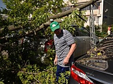 Ураган повалил деревья и лишил электричества часть Владикавказа