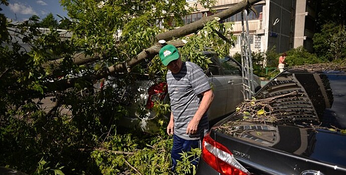 Ураган повалил деревья и лишил электричества часть Владикавказа