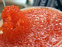 Поставки браконьерской красной икры перекрыли на Камчатке