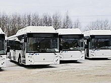 В Омске в январе 2022 года на маршруты выйдут новые экологичные автобусы