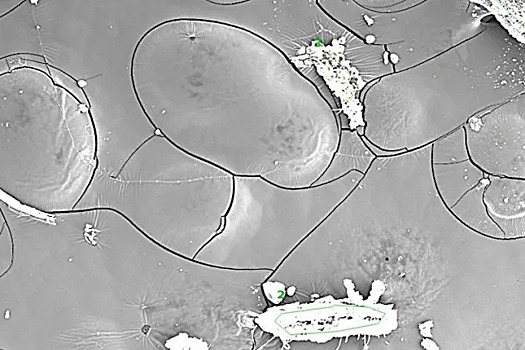 Ученые нашли в ямальских реках и озерах подозрительные микрочастицы