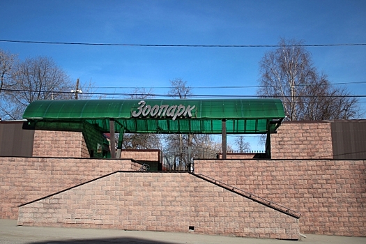 Петербургские власти рассказали, построят ли в городе новый зоопарк