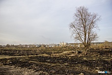 Горела Затулинка и ОбьГЭС: по Новосибирску прокатилась серия пожаров из-за сухой травы