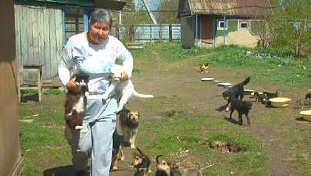 Домашний приют для животных устроила жительница Алтая