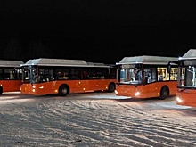 Нижегородская область получила 32 новых автобуса ЛиАЗ