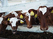 ЕС и Всемирный банк реализуют проекты для частного сектора Беларуси