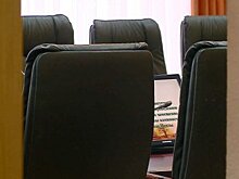 В Пензе депутата обвинили в решении «шкурной проблемы»