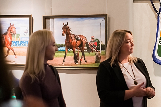 «Все мы немножко лошади»