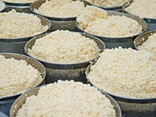 Ученые раскрыли неожиданную пользу творога для организма