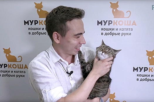 Корреспондент "РГ" посетил самый большой столичный приют "Муркоша"