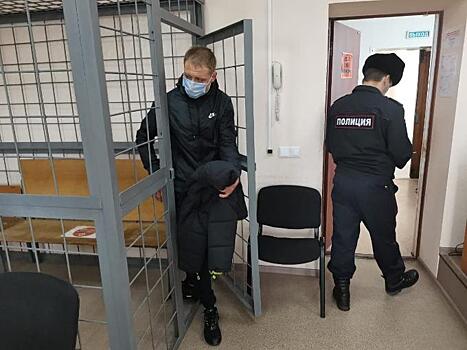 Бастрыкин поручил добиться ареста новосибирских авиадебоширов