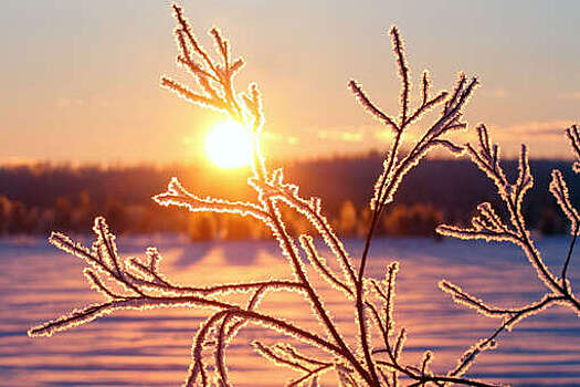 Профессор Язев: в Полярных Зорях световой день 21 декабря продлится 18 минут