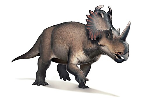 Род динозавров назвали в честь песни Дэвида Боуи