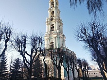 Туристический поток вырос на 17,5% в Подмосковье в 2019 году