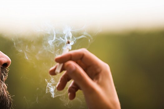 Депутат оценил идею запрета курения на ходу как оригинальную, но не более того