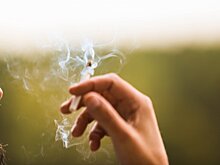 Депутат оценил идею запрета курения на ходу как оригинальную, но не более того