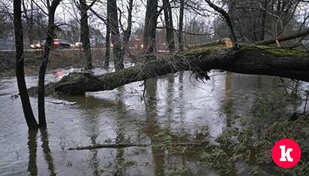 В Калининграде снова затопило дворы на ул. Дзержинского