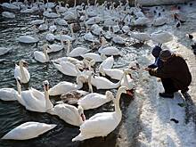 3 февраля: какой праздник сегодня отмечают в России и мире