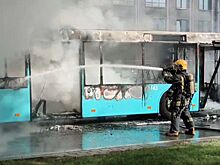 Коммунист Соловейчик назвал новые автобусы в Петербурге угрозой для жизни пассажиров