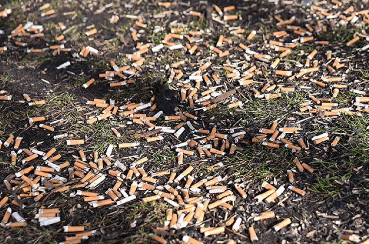 В Карелии хотят запретить курить на улице