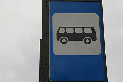 Российский союз туриндустрии просит поддержать автобусный транспорт в условиях санкций
